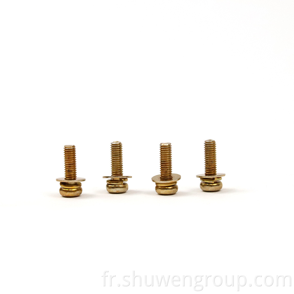 Gold Plated Screws